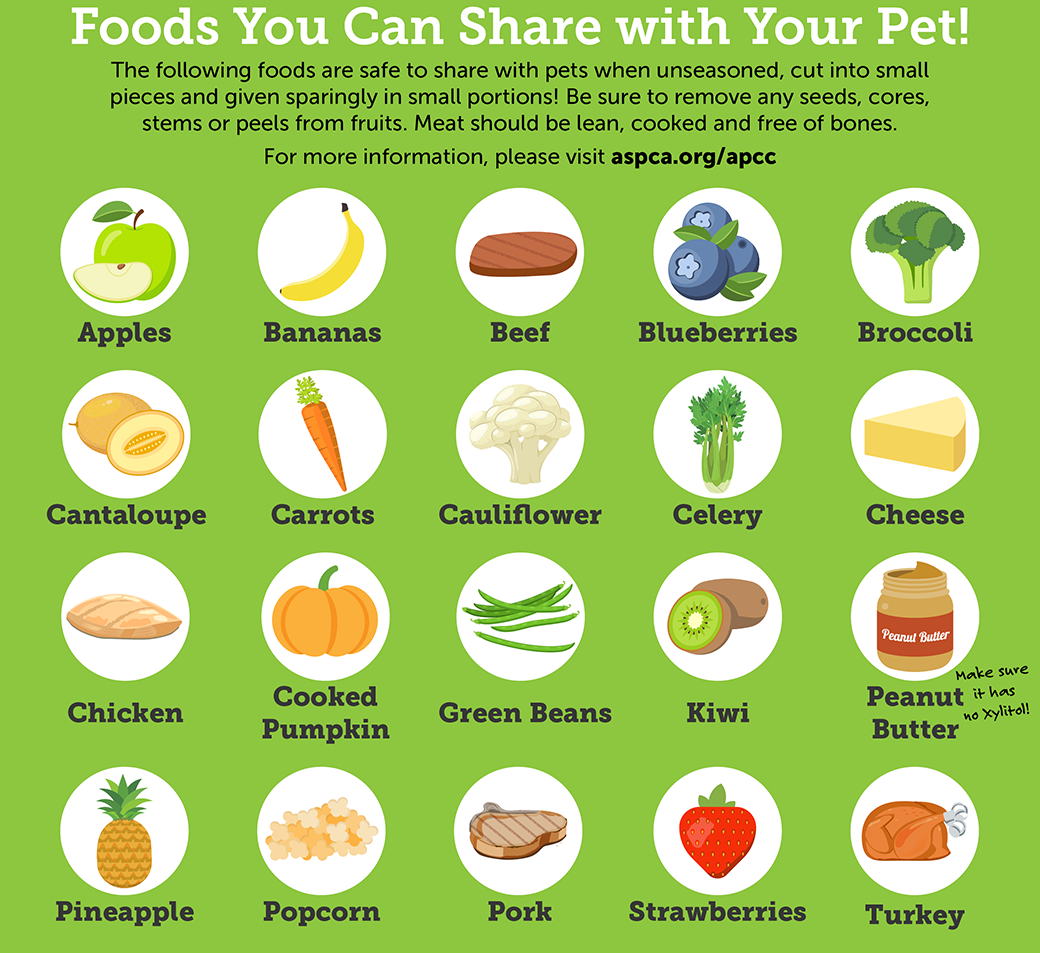 Foods you can share with your pet infographic